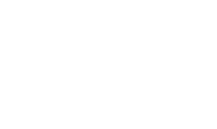 the artisan